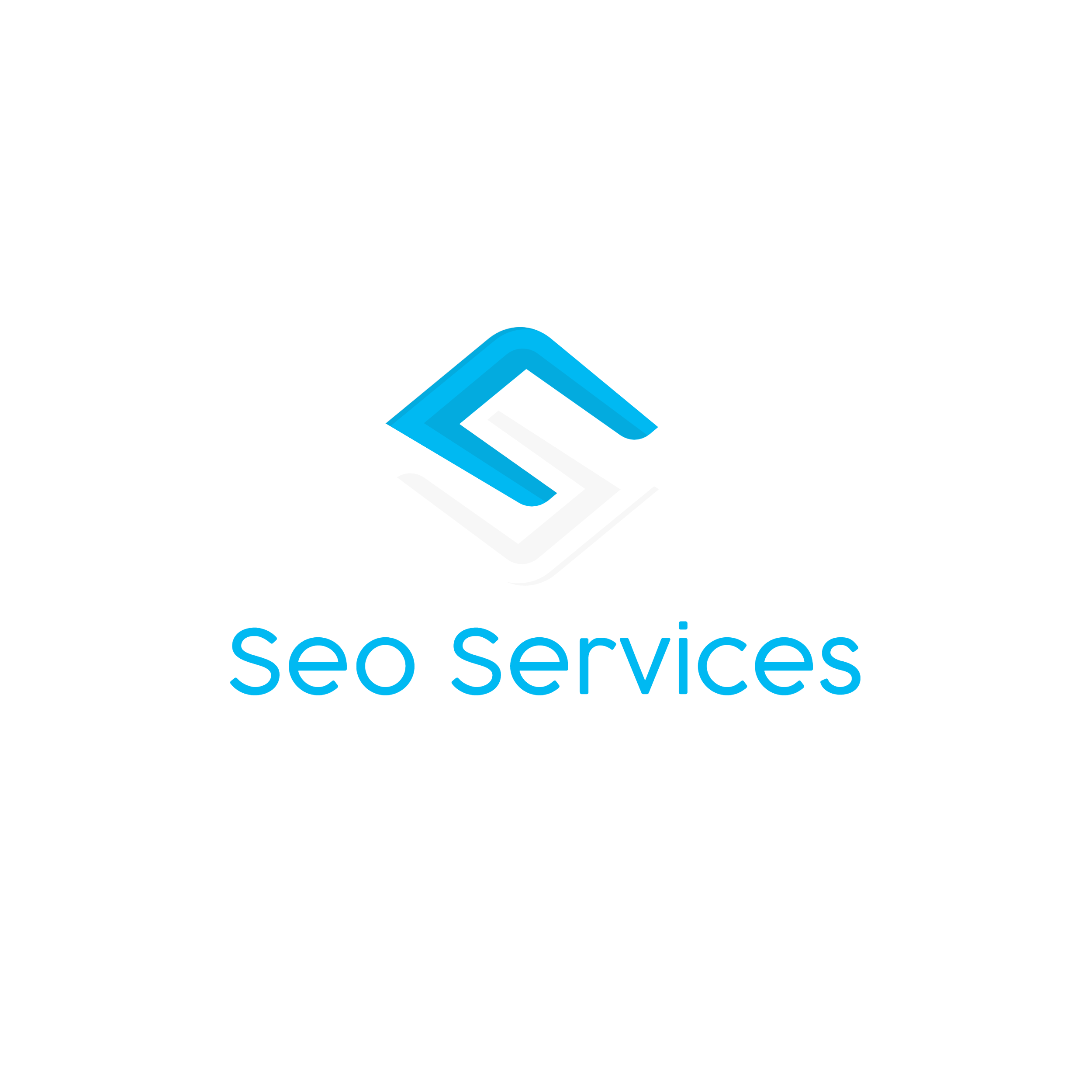 Seo Services